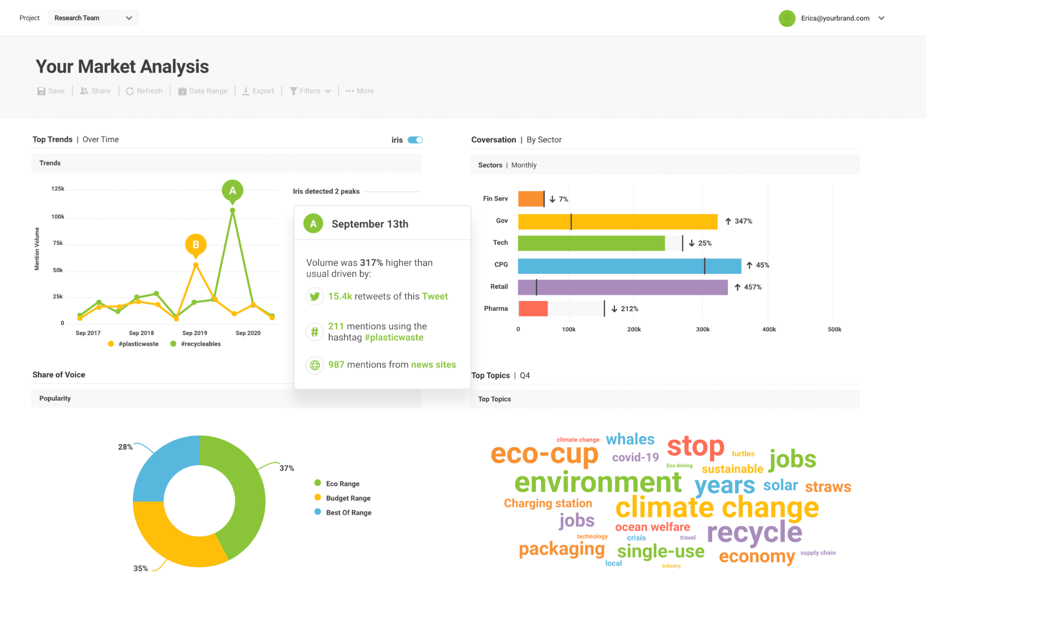 Brandwatch Example